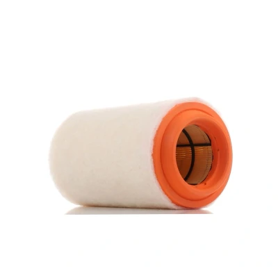 Imagem de PURFLUX A1494 Filtro de ar 233 125 Cartucho filtrante MINI: Hatchback, Clubman, Cabrio