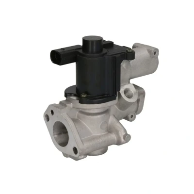 Imagem de Válvula EGR DELPHI EG10509
