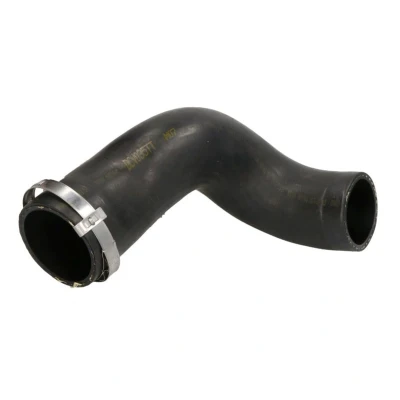 Imagem de Mangueira de ar reforço THERMOTEC DCV035TT