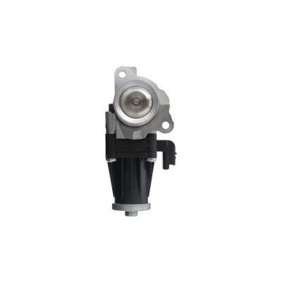 Imagem de VALEO 703201 válvula EGR elétrico sem radiador da recirculação dos gases de escape, com juntas escape