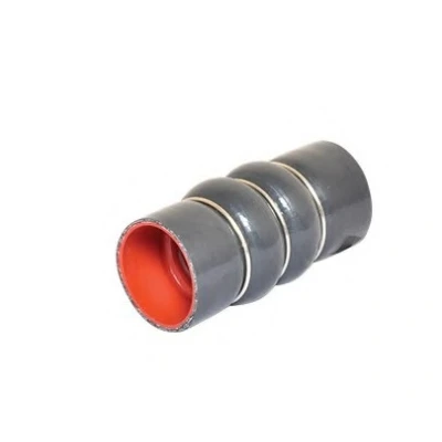 Imagem de BUGIAD 88641 Mangueira Para o Turbocompressor 49 FORD: Transit Connect Mk1 Van