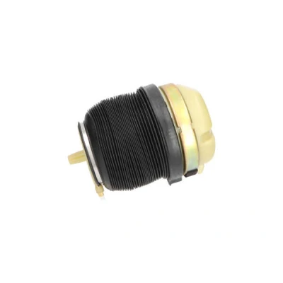Imagem de KAVO PARTS SAS 10009 Mola pneumática, chassis Eixo traseiro