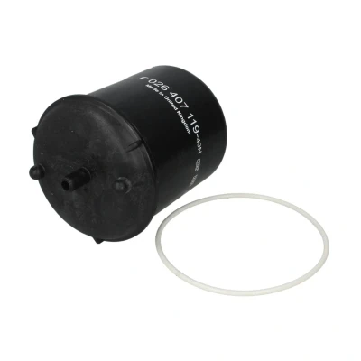 Imagem de BOSCH F 026 407 119 Filtro de óleo com junta Centrífugo DAF: CF 85