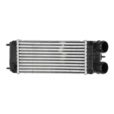 Imagem de NRF 30473 Intercooler PEUGEOT: 207 Hatchback