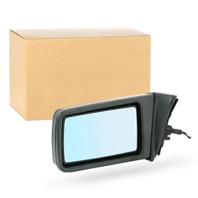 Imagem de Espelho retrovisor Van Wezel 3024803 esquerda tom azul, completo, convexo, ajustável pelo interior, ajuste: tirantes endado, norauto, oscaro,