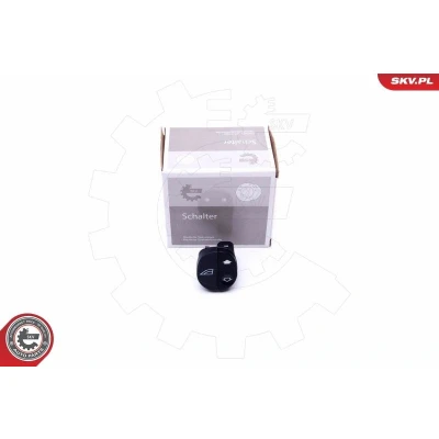Imagem de ESEN SKV 37SKV360 Interruptor, elevadores dos vidros do lado passageiro FORD: FIESTA 5, Transit Connect Mk1 Van, Puma Hatchback