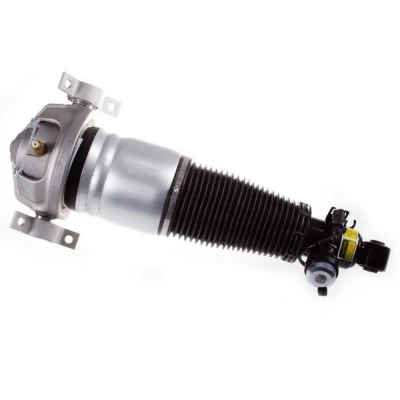 Imagem de DENCKERMANN DSA017G Elemento de suspensão pneumática Eixo traseiro direito