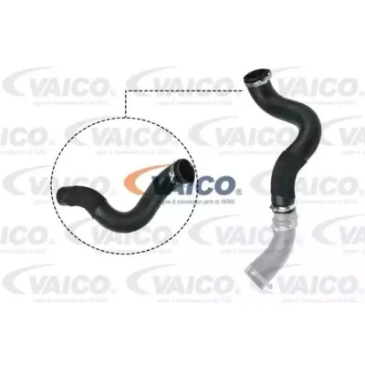 Imagem de VAICO V25 1047 Mangueira Para o Turbocompressor Borracha com entretela Q+, original equipment manufacturer quality FORD: Transit V363 Van