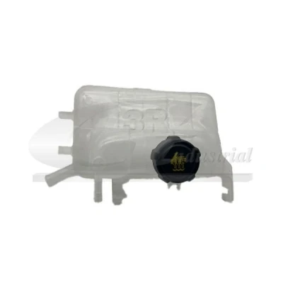 Imagem de 3RG 85651 Depósito de Compensação Refrigerante RENAULT: MEGANE 3, 3 Grandtour, GRAND SCENIC