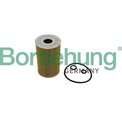 Imagem de Filtro de óleo Borsehung B10535