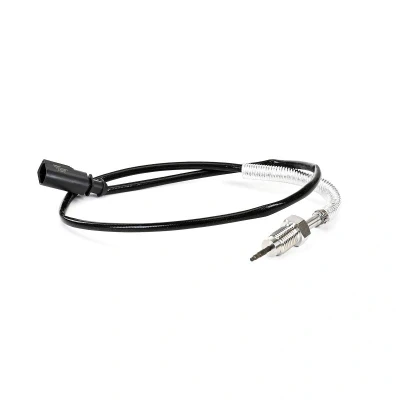 Imagem de DELPHI TS30398 12B1 Sensor