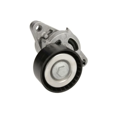 Imagem de INA 534 0271 10 Tensor, correia trapezoidal estriada RENAULT: LAGUNA 2 Grandtour, Kangoo I Express, Scénic 1