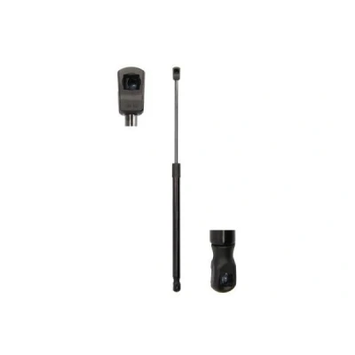 Imagem de Mola de ar, compartimento bagagem/carga MAGNUM TECHNOLOGY MGS0059
