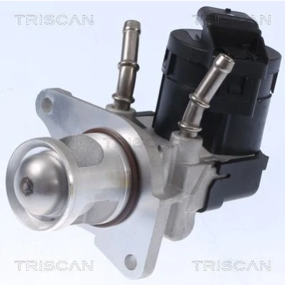 Imagem de TRISCAN 8813 11001 Válvula EGR elétrico com juntas, sem radiador da recirculação dos gases de escape BMW: 3 Touring, 5 1 Hatchback