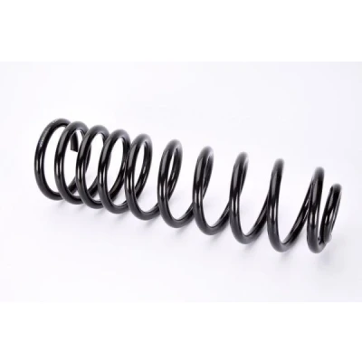 Imagem de Magnum Technology SW064MT Mola de suspensão Eixo traseiro helicoidal VOLKSWAGEN: Passat B3/B4 Variant