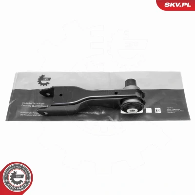 Imagem de Braço oscilante, suspensão da roda ESEN SKV 69SKV489