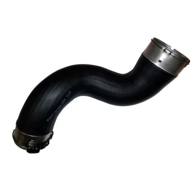 Imagem de BUGIAD 81856 Mangueira Para o Turbocompressor