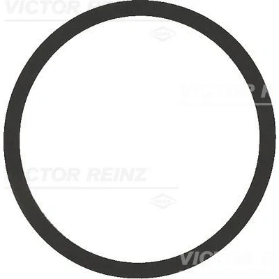 Imagem de REINZ 40 77542 00 Junta de Coletor Admissão VOLKSWAGEN: Polo IV Hatchback, Sedan