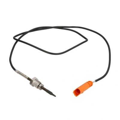 Imagem de DELPHI TS30248 Sensor