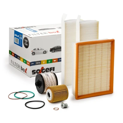 Imagem de PURFLUX KIT13 Elemento de filtro CITROËN: Spacetourer, Jumpy III Van, PEUGEOT: Expert Van