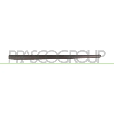 Imagem de Friso, porta PRASCO VG0361404