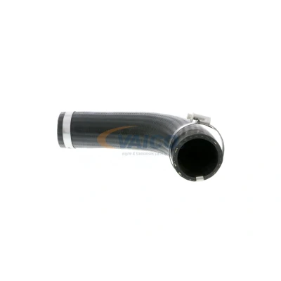 Imagem de VAICO V25 0987 Mangueira Para o Turbocompressor Borracha com entretela Q+, original equipment manufacturer quality FORD: Transit Mk5 Van