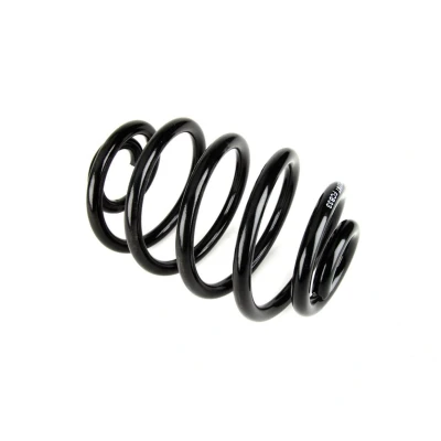 Imagem de Magnum Technology SR039MT Mola de suspensão Eixo traseiro helicoidal RENAULT: CLIO 2 Kasten,