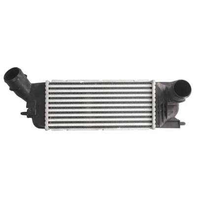 Imagem de THERMOTEC DAC009TT Intercooler 300 150 85