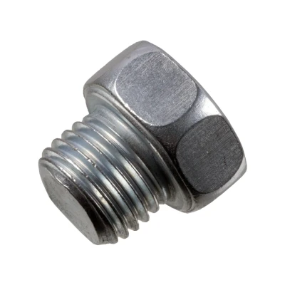 Imagem de FEBI BILSTEIN 180282 Bujão do Carter Aço 19 sem retentor MAZDA: 6 Carrinha
