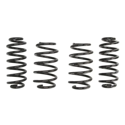 Imagem de EIBACH Pro Kit E10 85 016 09 22 de suspensão, molas VOLKSWAGEN: CC