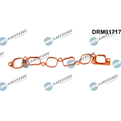 Imagem de DR.MOTOR AUTOMOTIVE DRM01717 Junta de Coletor Admissão VOLKSWAGEN: Golf 4, Bora Sedan, Sharan I, SEAT: Leon I Hatchback, FORD: Galaxy Mk1 MPV