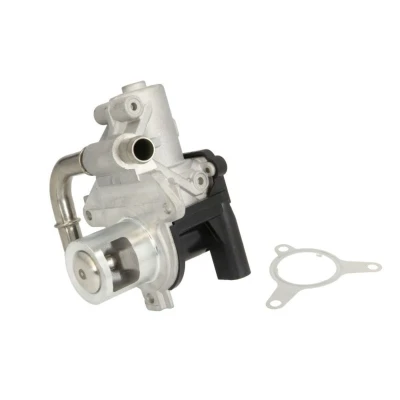 Imagem de DELPHI EG10493 12B1 Válvula EGR sem radiador da recirculação dos gases de escape Lado alta pressão RENAULT: CLIO 3, MEGANE 3 Coupe