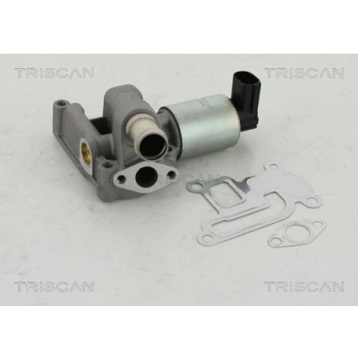 Imagem de TRISCAN 8813 24003 Válvula EGR electrónico com juntas OPEL: Corsa C Hatchback, Astra H Caravan