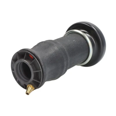 Imagem de Fole, suspensão da cabina DT Spare Parts 1.22403