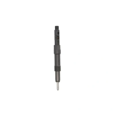 Imagem de DELPHI R01001D Porta injector