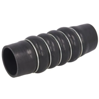 Imagem de THERMOTEC DCR239TT Mangueira Para o Turbocompressor Silicone RENAULT: Clio 3, III Grandtour