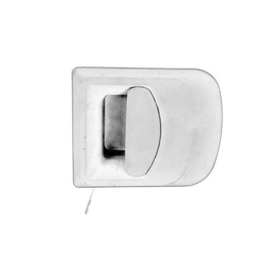 Imagem de Pega da porta exterior PACOL IVE DH 0019