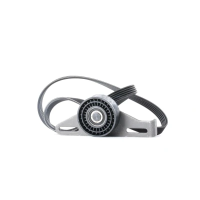 Imagem de SKF VKMA 36091 Jogo de correias trapezoidais estriadas RENAULT: CLIO 2, LAGUNA 1, MEGANE 1