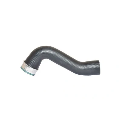 Imagem de BUGIAD 87603 Mangueira Para o Turbocompressor 60 VOLKSWAGEN: GOLF 5, Passat B6 Sedan, 6