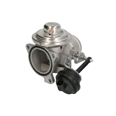 Imagem de NISSENS 98182 Válvula EGR com juntas VOLKSWAGEN: Golf 4, Polo IV Hatchback, III SEAT: Ibiza 3, Leon I 2