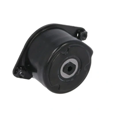 Imagem de SNR GA350.60 Polia Tensora BMW: 3 Sedan, Touring, 5 Touring