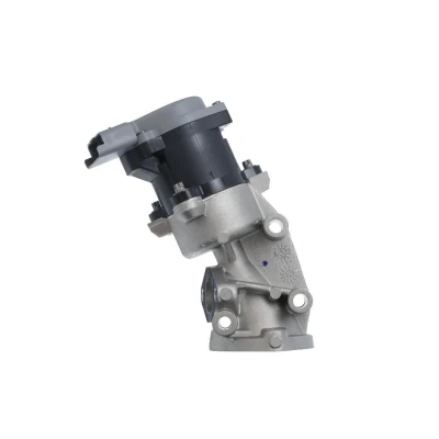 Imagem de VALEO ORIGINAL PART 700422 Válvula EGR elétrico sem radiador da recirculação dos gases de escape, juntas &#039;bypass&#039; vácuo, braçadeira