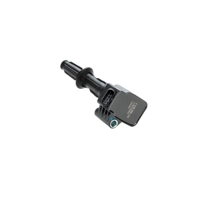 Imagem de BOSCH F 01R 00A 123 Bobina de ignição 30V MG: MG HS 1.5 EHS Hybrid, 1,5T GDI Hybrid 2020