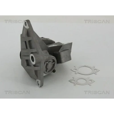 Imagem de TRISCAN 8813 29047 Válvula EGR elétrico com juntas VOLKSWAGEN: Golf 5, Passat B6 Sedan, Variant, AUDI: A3 Sportback, Hatchback