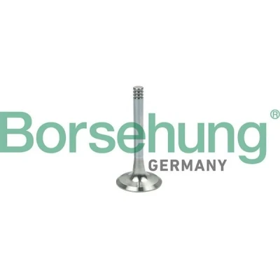 Imagem de Válvula de saída Borsehung B19002