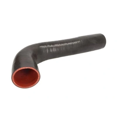Imagem de Mangueira de ar reforço THERMOTEC DCI030TT