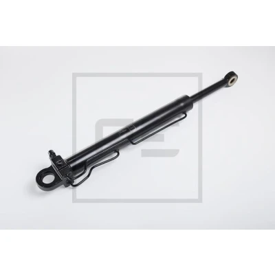 Imagem de PETERS ENNEPETAL 123.654 00A Cilindro de levantamento, cabina 696mm