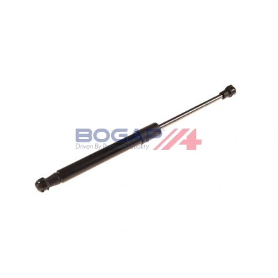 Imagem de BOGAP B1119101 Retentor de Cambota