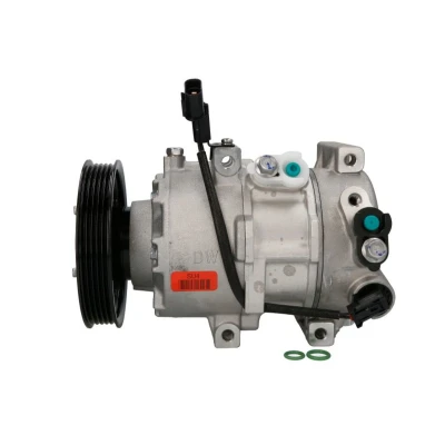 Imagem de NISSENS 890689 Compressor DVE12 12 PAG 46 R 134a