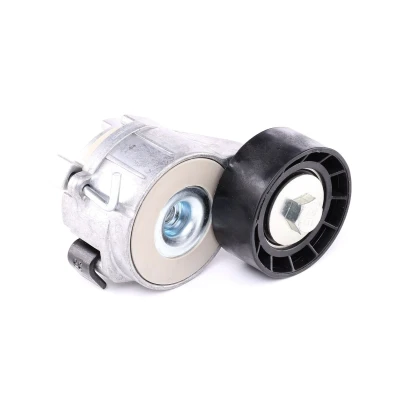 Imagem de SKF VKM 33161 Polia Tensora PEUGEOT: Partner II Van, 206 Hatchback, SW, CITROËN: Berlingo / First I